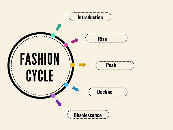 Understanding the Fashion Cycle: Exploring the 5 Stages with Graph and ...